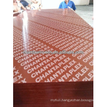 1220X2440 WBP melamine poplar brown black red laminated plywood waterproof plywood price